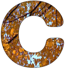 Herbstbuchstabe-C.jpg